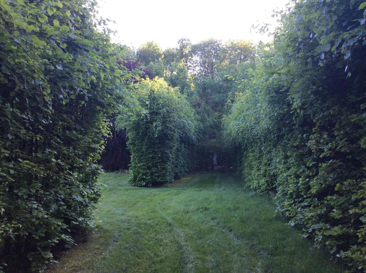 Villa Laurelin, Lothorien Noordwolde  Bagian luar foto