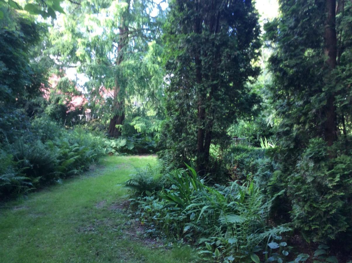 Villa Laurelin, Lothorien Noordwolde  Bagian luar foto